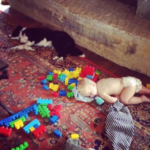 10393994_784062384967016_3533903643992149897_n