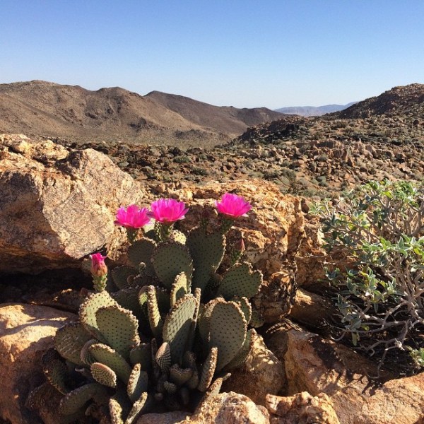 10995131_614868705280414_1463645460_n