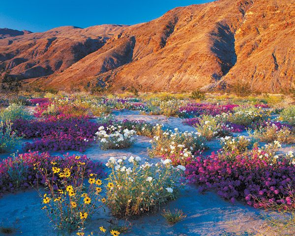 4f3811385c0e89f2b713ac0920bf767f